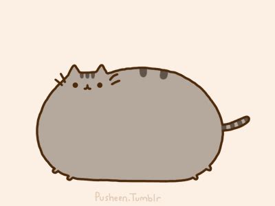 Fat Cat GIF - Find & Share on GIPHY