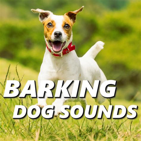 Can You Make The Sound Of A Dog Barking