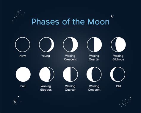 Labeled Phases Of The Moon