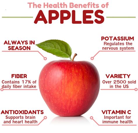 Benefits of Eating Apple Every Day | Apple health benefits, Apple ...