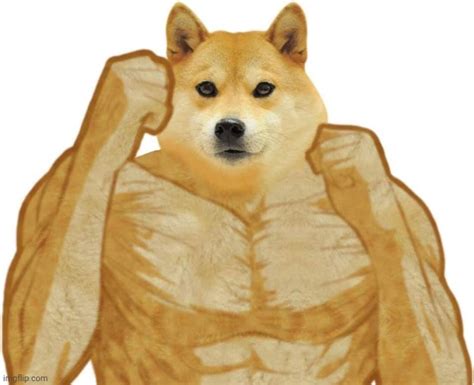 Buff Doge - Imgflip