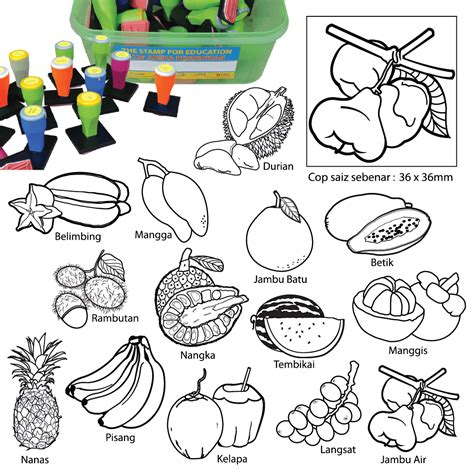 COP BUAH-BUAHAN TEMPATAN (14 PCS) - ITS Educational Supplies