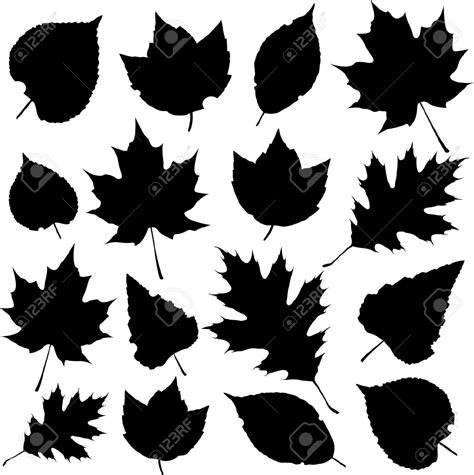 Foliage silhouette clipart 20 free Cliparts | Download images on Clipground 2024