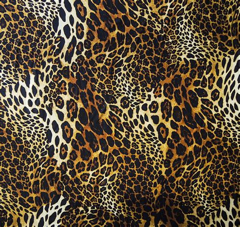 HD wallpaper: leopard, mammal, animal themes, one animal, feline, cat, domestic animals ...