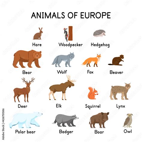 Animals of Europe : hare, woodpecker, hedgehog, bear, wolf, fox, beaver, deer, elk, squirrel ...