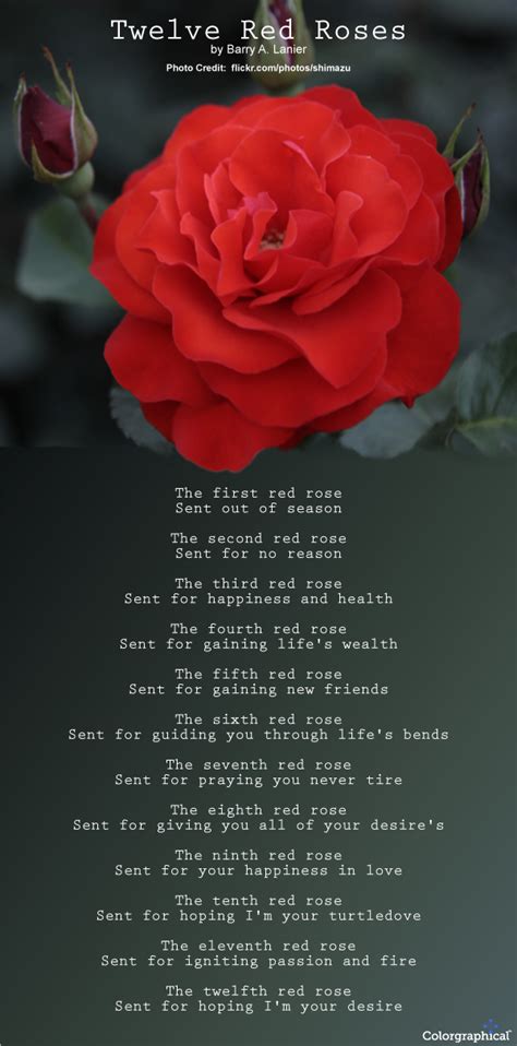 Roses Meaning and Symbolism - TheLandofColor.com