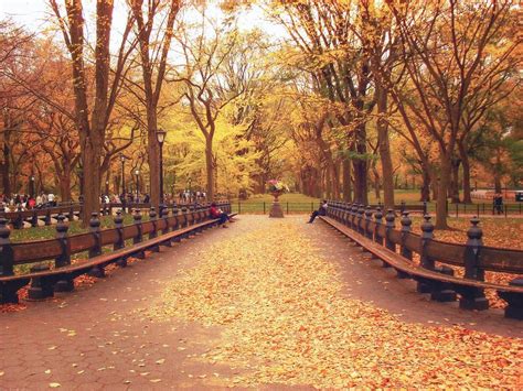 Autumn Central Park New York Wallpapers - Wallpaper Cave