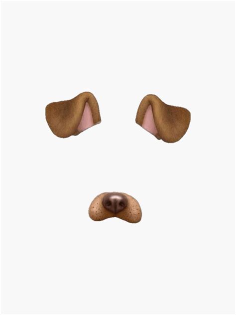 "Snapchat Dog Face Filter" Sticker by drewsandler | Redbubble