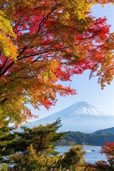 Visiting Japan in October: The Best of Autumn in Japan | Autumn in japan, Japan photography ...