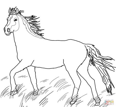 Mustang Wild Horse coloring page | Free Printable Coloring Pages