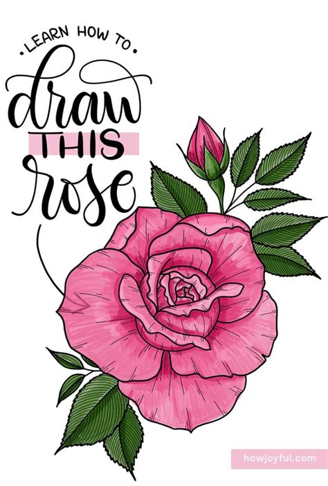 Small Rose Flower Drawings | Best Flower Site