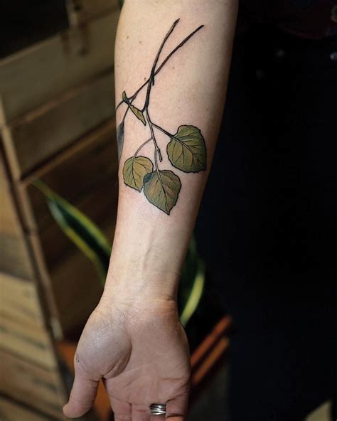 Aspen leaves by Sophia Baughan (@sophiabaughan) | Tattoos, Tattoo ...