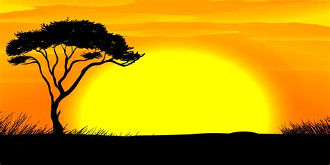 Safari themed backdrops and props for events in 2023 | African sunset, Sunset canvas painting ...