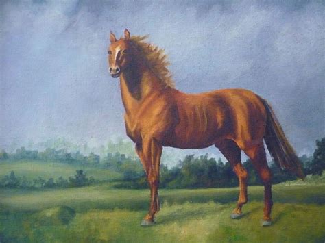 "Man O'War Racehorse" by Vivian Eagleson | Redbubble