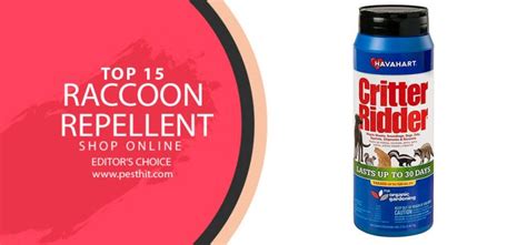 Best Raccoon Repellent 2023 | TOP 15 Raccoon Repellents