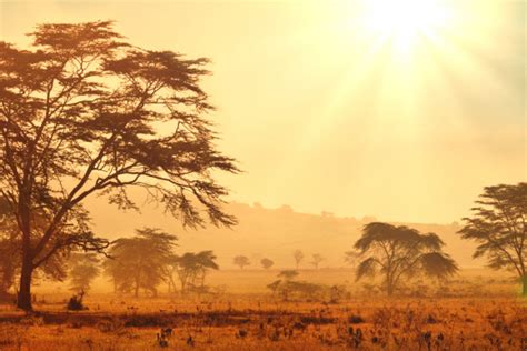 South Africa - Vast Landscapes and Wild Animals | Travelmyne.com