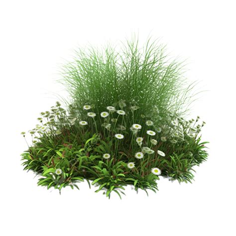 Grass Fresh Grass Flowers, Green Grass From, Green, Flowers PNG ...