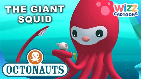 @Octonauts - The Giant Squid | S1:EP6 Full Episode | @WizzCartoons - YouTube