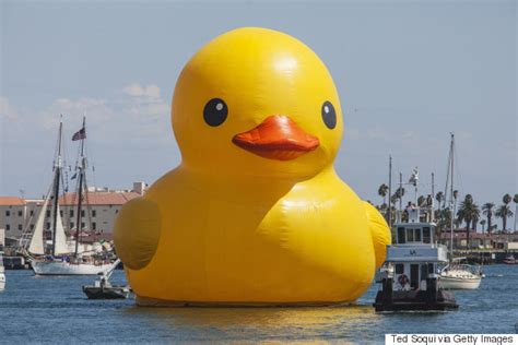 Canada Gets Giant Rubber Duck For Its Birthday Because A Loon Is Too Damn Expensive