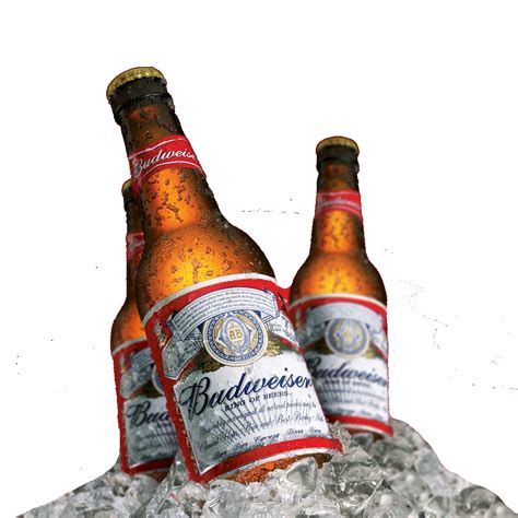 Budweiser Beer Png - PNG Image Collection