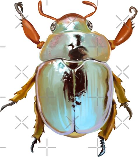 "Rainbow Jewel Scarab Beetle" Stickers by seasofstars | Redbubble