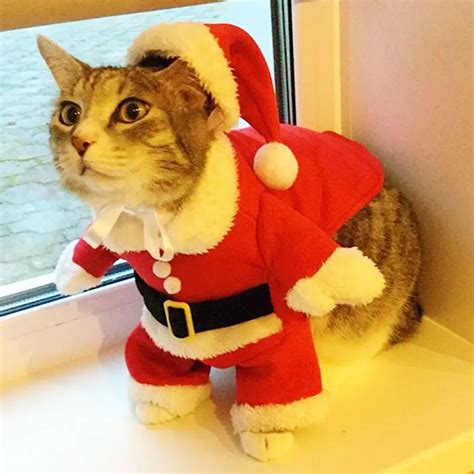 Christmas Cat Clothes Suit Winter Pet Clothes for Cat Costume Suit Warm Cat Coat Jacket Santa ...