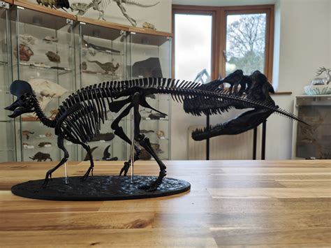 3D printed Dinosaur Lambeosaurus complete skeleton • made with ANYCUBIC ...