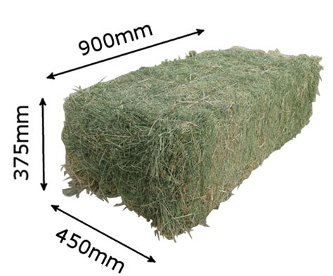 Hay Bale Weight & Dimensions - Forbes Lucerne