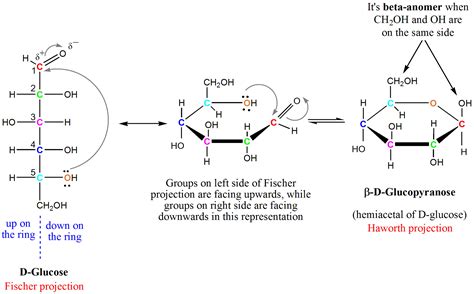 Glucose Ring Structure Formation