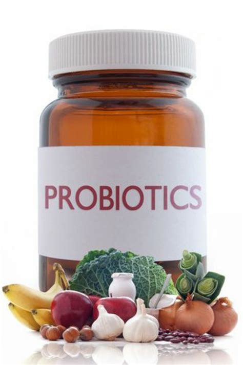 Les probiotiques et leurs effets sur notre organisme | Best probiotic ...