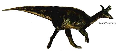 Lambeosaurus Pictures & Facts - The Dinosaur Database