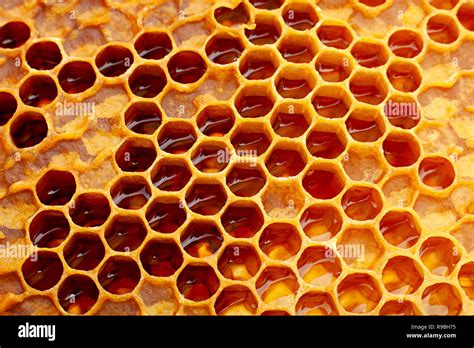 Yellow Honeycomb closeup texture detail horizontal background Stock Photo - Alamy