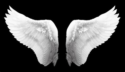 White Angel Wings - Free Stock Photo by Eric on Stockvault.net