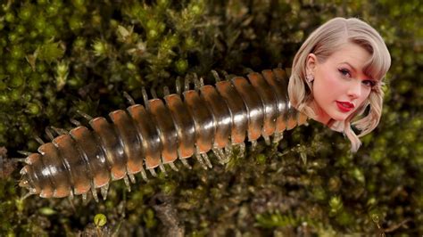 A Scientist Named A Whole Millipede Species After Taylor Swift