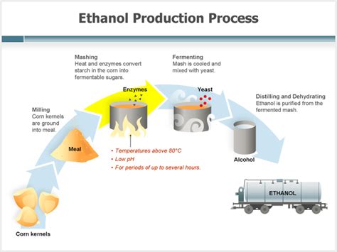 Ethanol Production – 3B Studio | Litigation Graphics & Technology