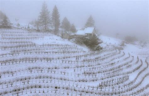 PHOTOS: See Where Rare Snowfall Blanketed Parts of the Bay Area | KQED