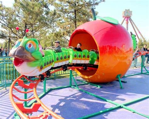 Kids Roller Coster|Dragon Roller Coaster For Sale-funfair ride