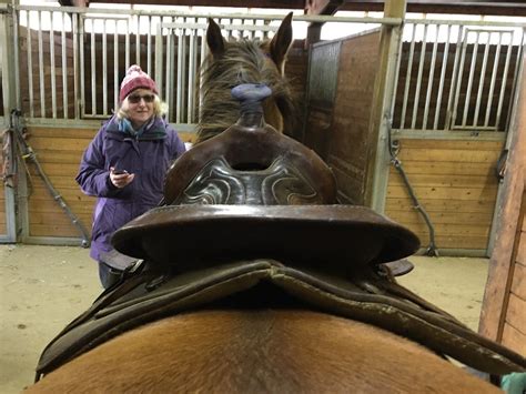 Does this saddle fit? | The Horse Forum