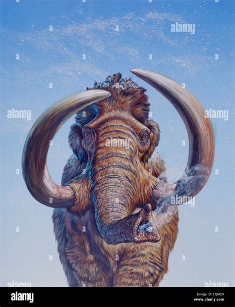 Woolly mammoth painting hi-res stock photography and images - Alamy