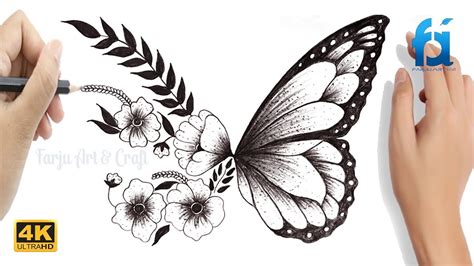 Flower And Butterfly Drawing Pictures