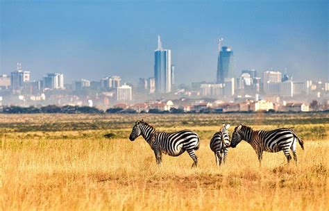 Nairobi National Park | Kenya Safari Destinations | Explore Kenya