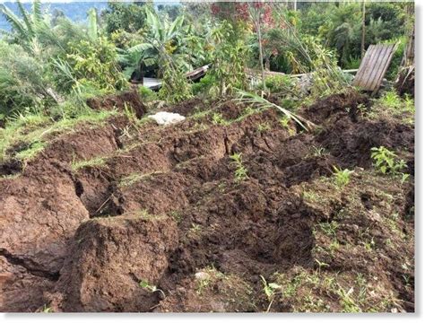 Hundreds homeless after landslide in Rwanda — Earth Changes — Sott.net