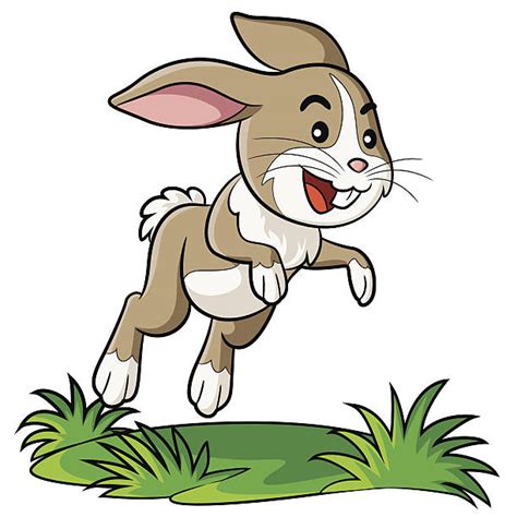 Royalty Free Rabbit Jump Clip Art, Vector Images & Illustrations - iStock