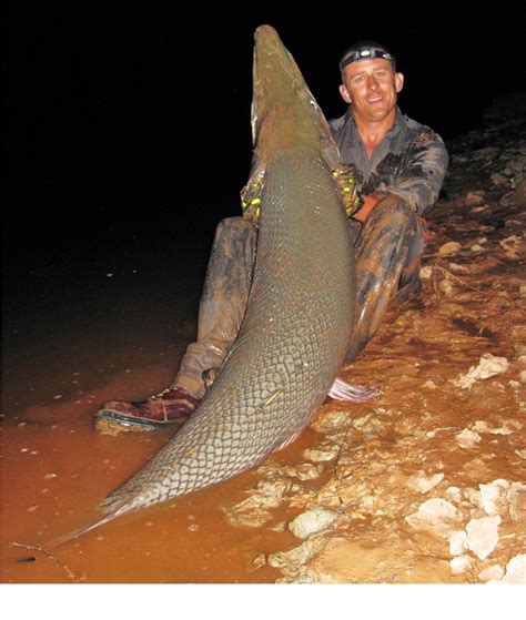 Alligator Gar | www.roughfish.com