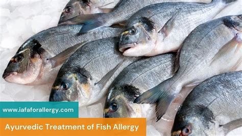 Fish Allergy - Causes, Symptoms and Ayurvedic Treatment