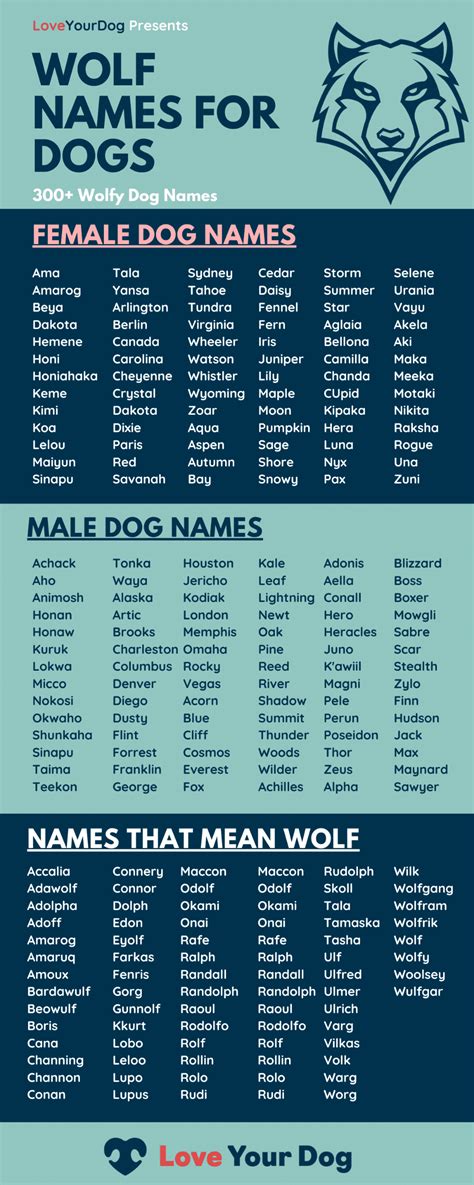 300 wolf names for dogs male female names for your puppy – Artofit