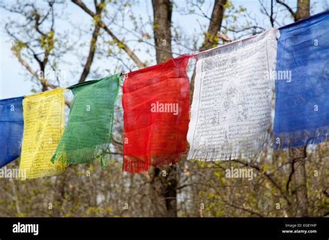 Tibetan prayer flags with ancient buddhism symbols and prayers written in sanskrit have been ...