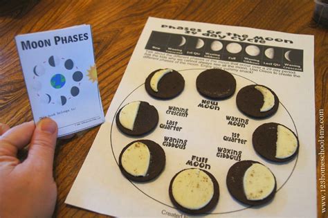 Oreo+Moon+Phases+Worksheet+for+Kids.JPG (1600×1065) | Moon for kids, Moon unit, Solar system for ...