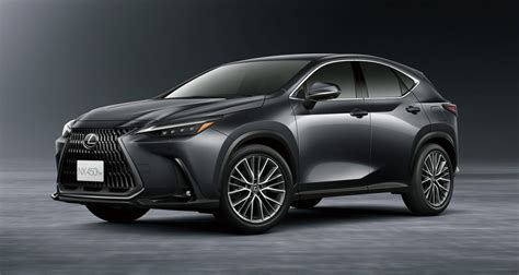 2024 Lexus Nx 250 Owners Manual - Tory Florentia