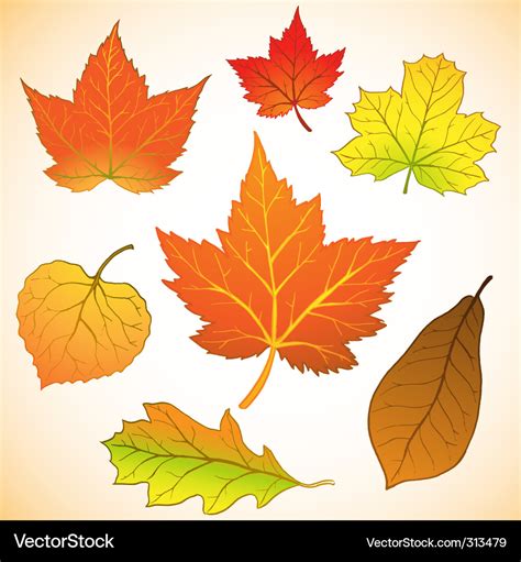 Fall leaves Royalty Free Vector Image - VectorStock